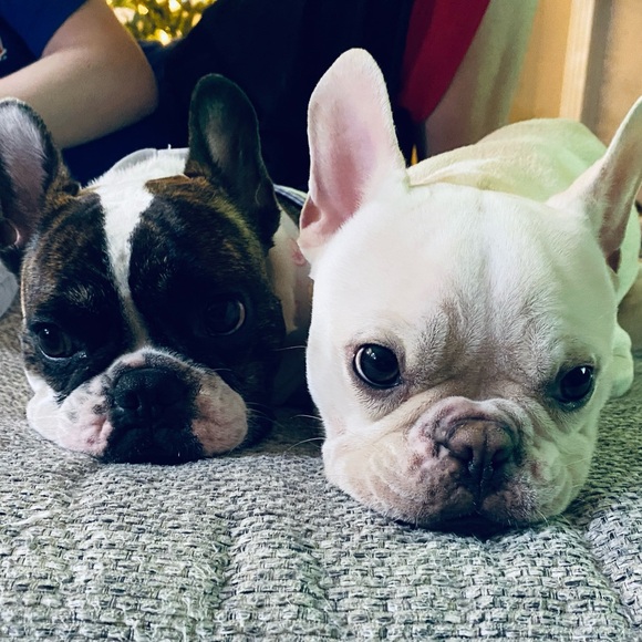 Meet your Posher, Beth - Picture 5 of 11